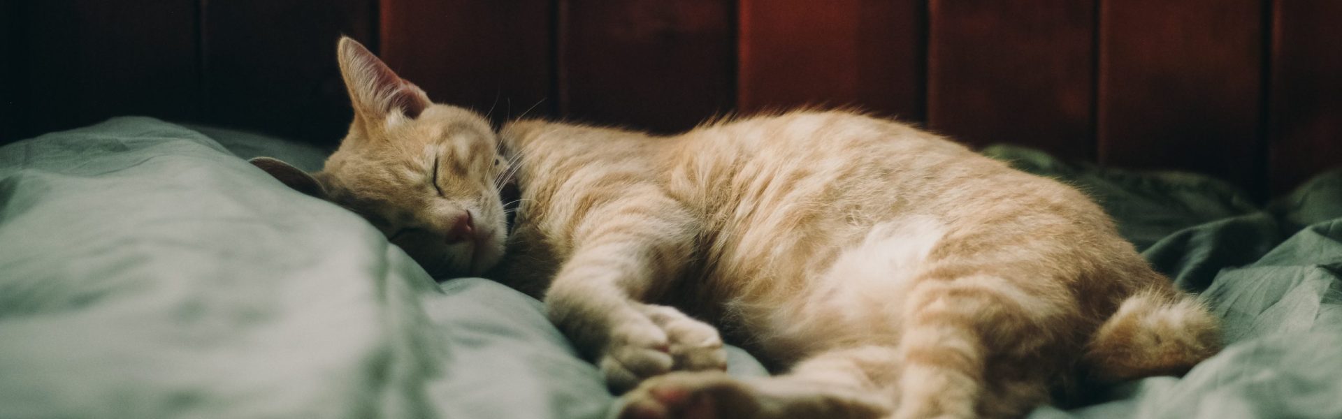 Experienced registered nurse, personalised care, and reliable service.